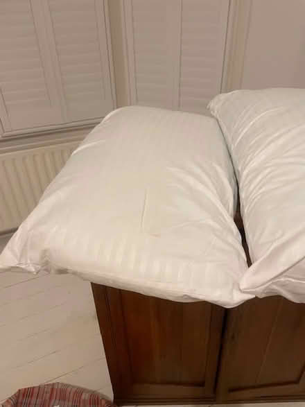 Photo of free 2 pillows, good condition (Haringey, near St Ann's, N15) #2