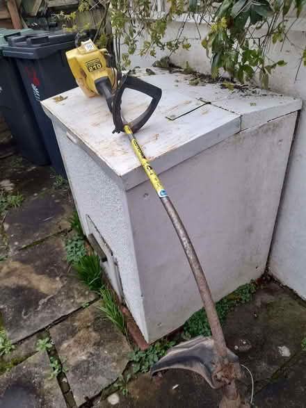 Photo of free Strimmer (Bere Regis BH20) #2