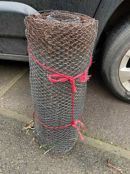 Photo of free Chicken wire (Glastonbury BA6) #2