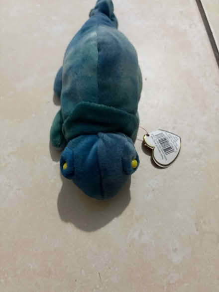 Photo of free TY chameleon (Westbury Wilts BA13) #1