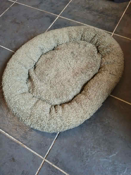 Photo of free hand made cat / small dog bed (Lakenham NR1) #2
