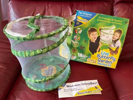 Photo of free Kids Butterfly garden hatching kit (Shelton SY3) #1
