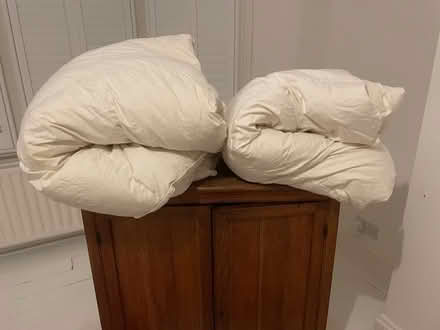 Photo of free 2 Feather Duvets - double (Haringey, near St Ann's, N15) #3