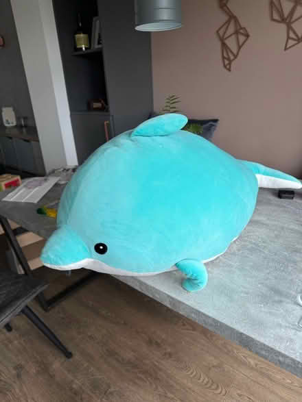 Photo of free Large dolphin (GL3) #2