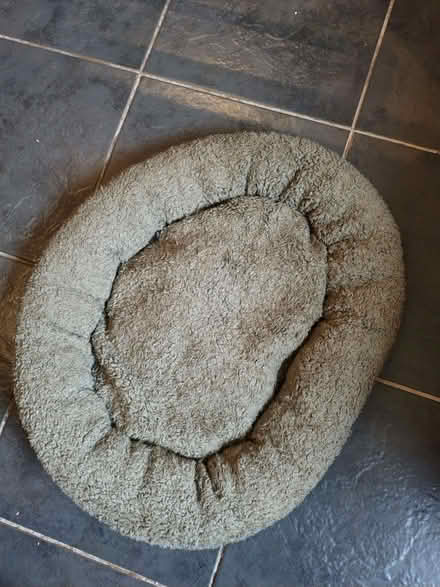 Photo of free hand made cat / small dog bed (Lakenham NR1) #1