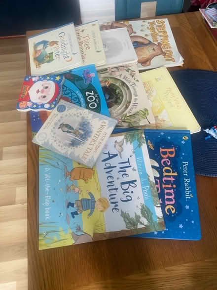 Photo of free Children’s books (Birches head ST1) #2