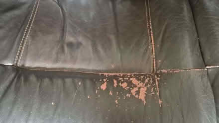 Photo of free Brown leather sofa (Northlands Park Neighbourhood SS13) #3
