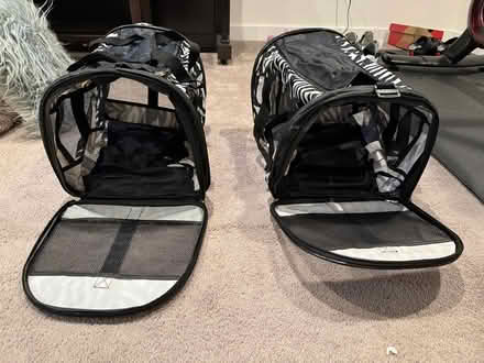 Photo of free cat carriers (Capitol Hill) #1