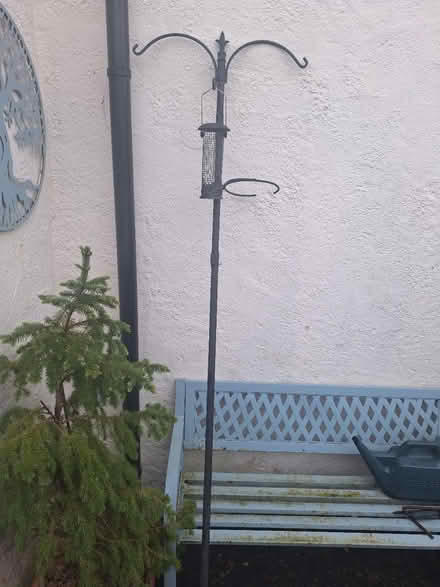 Photo of free Bird feeding station (Forestgreen) #1