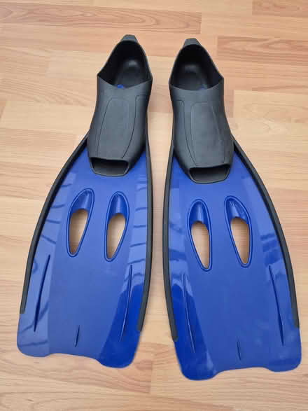 Photo of free A pair of flippers (Great Sankey WA5) #1