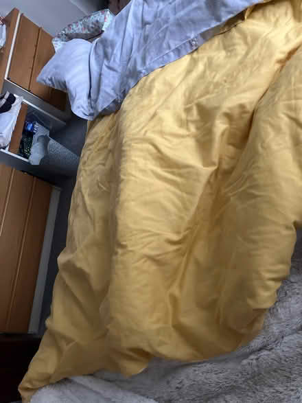 Photo of free Single Duvet and Cover (CH43 Birkenhead) #1