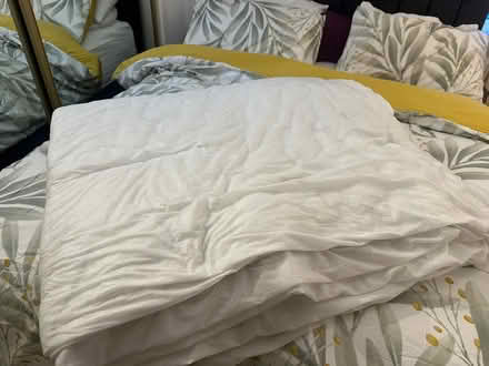 Photo of free double duvet (Foxbar,PA2) #2