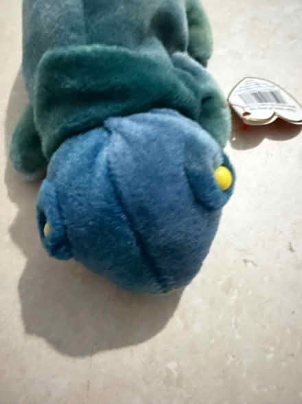 Photo of free TY chameleon (Westbury Wilts BA13) #2