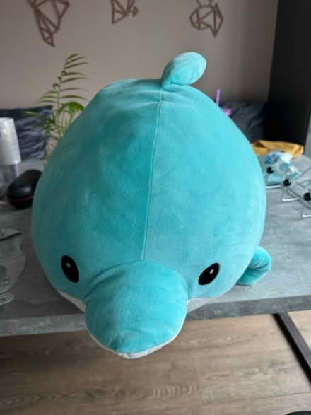 Photo of free Large dolphin (GL3) #1