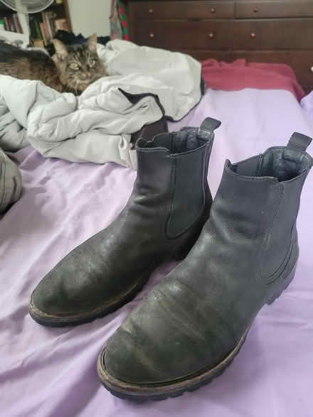 Photo of free Thursday brand Chelsea boots 7.5 (Valley Village) #1