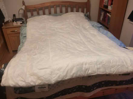 Photo of free Bedding: 3 single summer duvets plus pillow (Cowley OX4) #2
