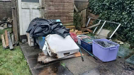 Photo of free Greenhouse Glass (Pool, Redruth) #4