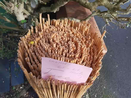 Photo of free Bamboo screen. Unused (Oxford OX4) #2