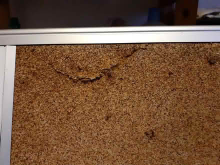 Photo of free Corkboard and whiteboard (Marston, Oxford OX3) #2