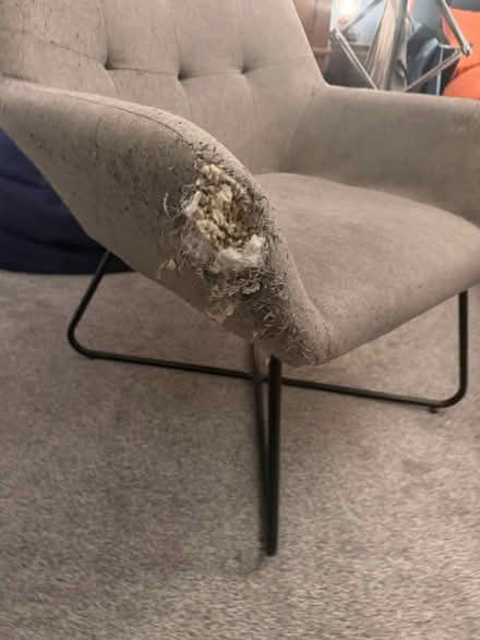 Photo of free Chair (Wakefield, St. John’s WF1) #1