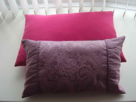 Photo of free 2 oblong soft cushions (Durrington BN13) #1