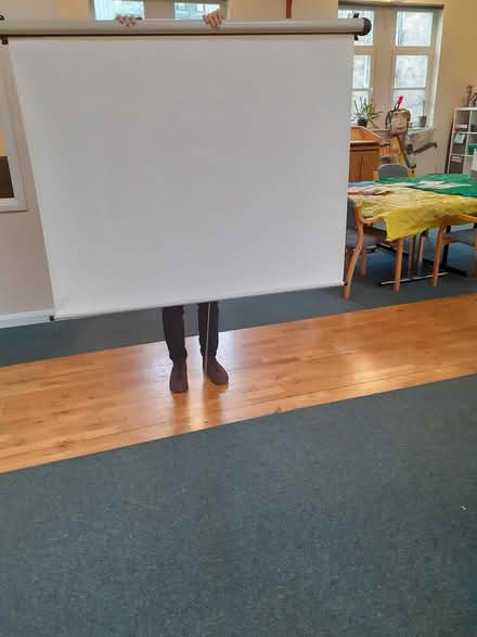 Photo of free Projector Screen (25 Ashley Street, G3 6DR) #1