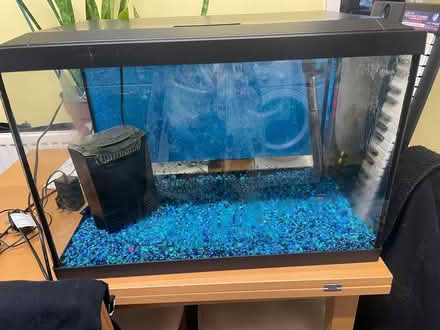 Photo of free 70litre fish tank (Southdown) #1
