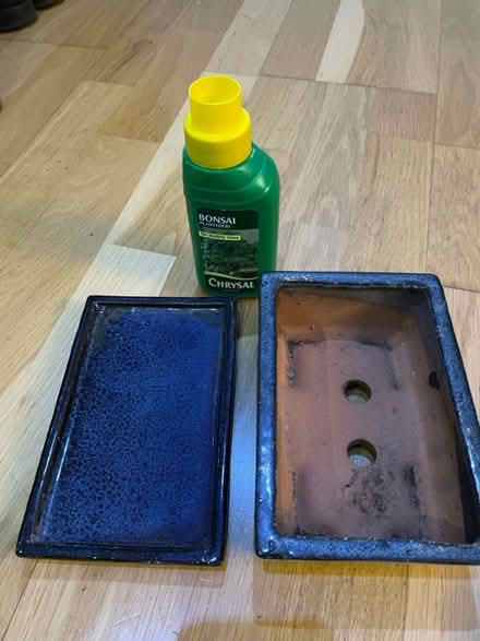 Photo of free Bonsai plant pot and tray (Headington Quarry OX3) #1