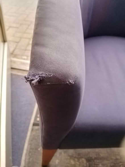 Photo of free Tub chair (West Worthing BN11) #3