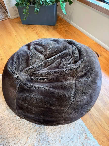 Photo of free Beanbag Chair (Glenmorrie area - Lake Oswego) #1