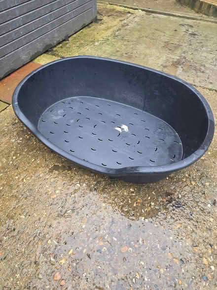 Photo of free Dog bed (Rolvenden TN17) #1