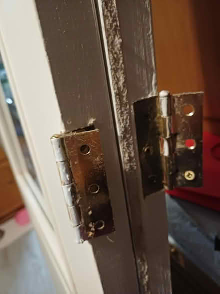 Photo of free Interior double doors (Bish Auckland, near Asda. DL14) #2