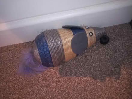 Photo of free lovely fake mouse (Sheffield centre S1) #1