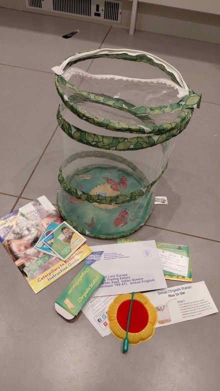 Photo of free Insect Lore Butterfly Garden (caterpillars not included) (Aldrington BN3) #2