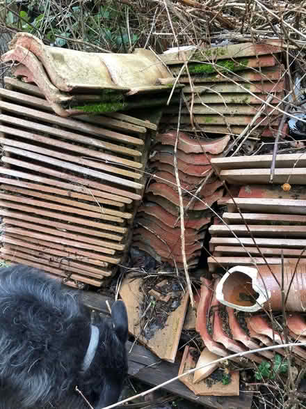 Photo of free Roof tiles - good for hardcore etc. Over 500 (CT3) #2