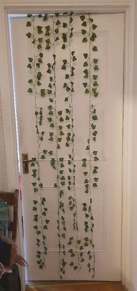 Photo of free Plastic ivy (Hartington Road BN2) #1