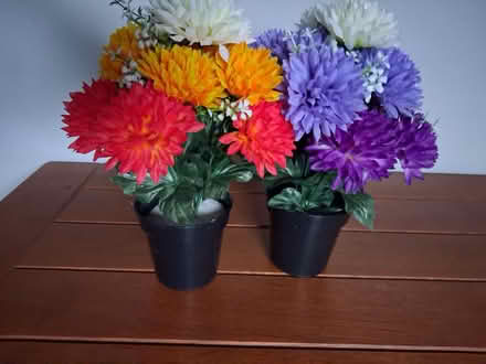 Photo of free Fake flowers (Ormskirk L39) #1