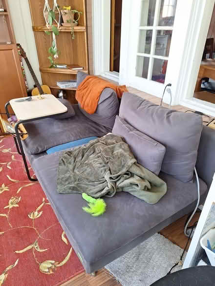 Photo of free Couch (Highpark north) #1