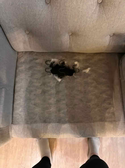Photo of free 2 x 3 seater chesterfield sofa (Dunfermline KY11) #4