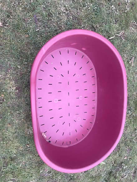 Photo of free Large Plastic Dog Basket (Sheringham NR26) #2