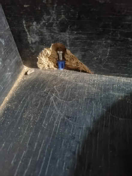 Photo of free VivExotic Vivarium (Matchborough East B98) #3