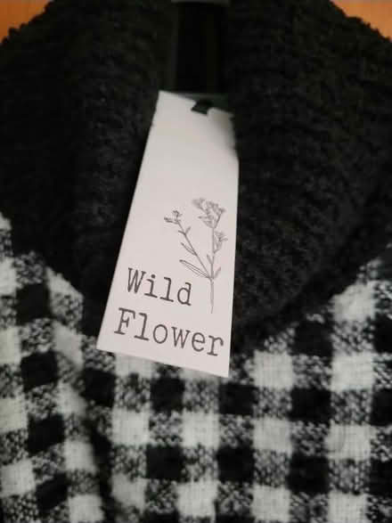 Photo of free Poncho (Fulwood PR2) #2