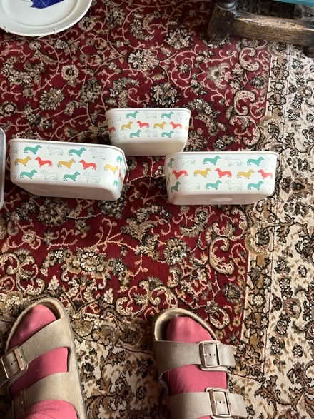 Photo of free 3 x small melamine dishes . Used (Malvern Link WR14) #1