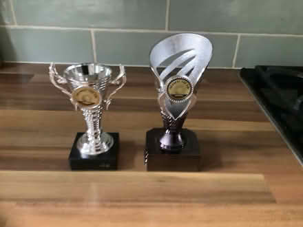 Photo of free Golf trophies (Stanwell Village TW19) #1
