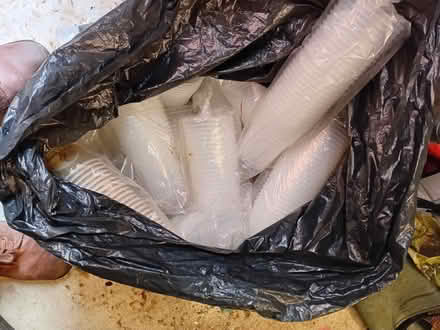Photo of free 500ml beer/cider plastic cups (Ludlow SY8) #2