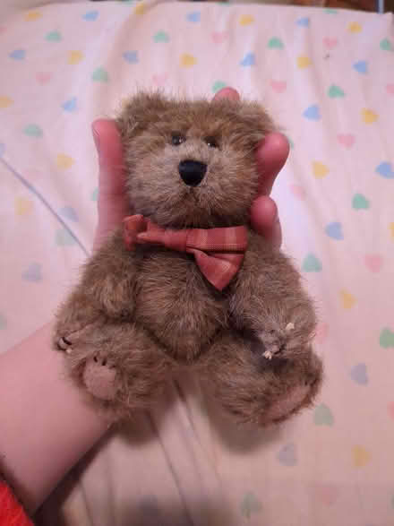 Photo of free Boyd's Bear plushie (Flemingdon Park) #3
