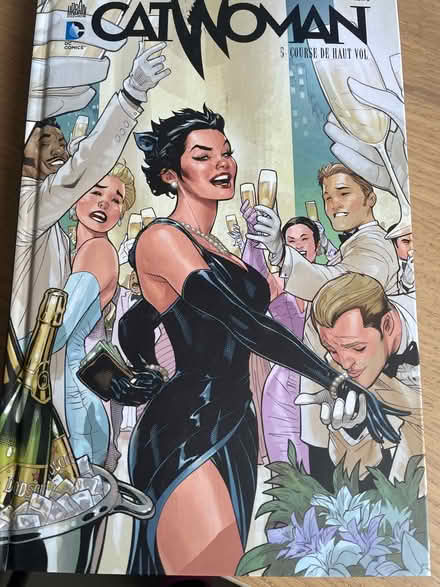 Photo of free Catwoman graphic novel in french (Rathfarnham) #1