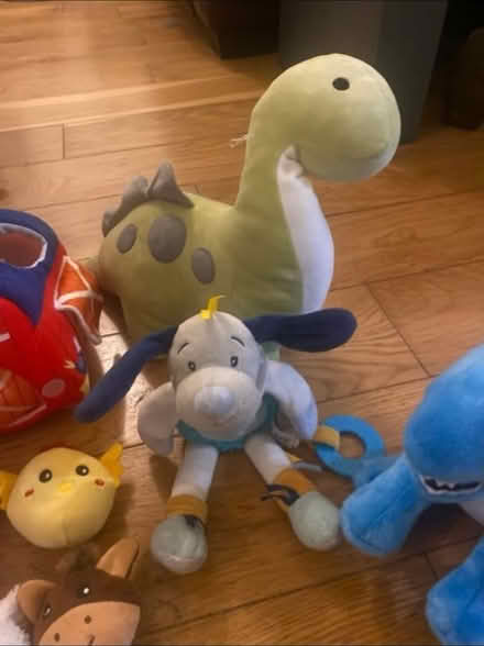 Photo of free Babies Soft Toys (Cheshunt En8) #3