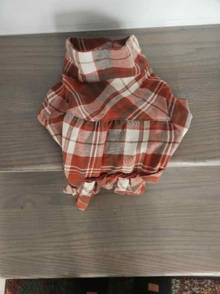 Photo of free Dog stuff- treats, out fits (20774) #3