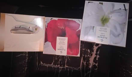 Photo of free 3 empty amaryllis bulb carton boxes (Sheffield centre S1) #2